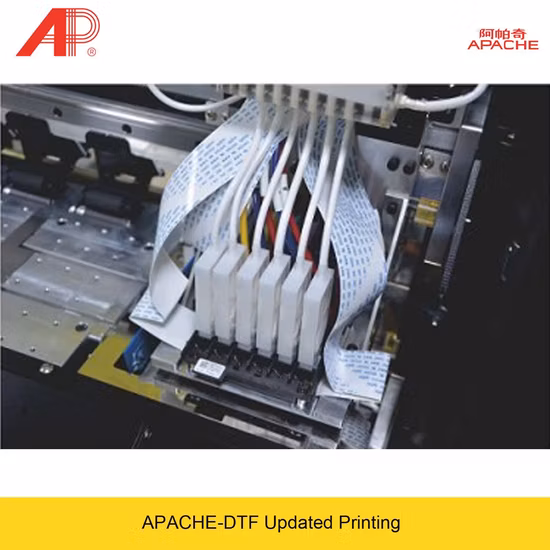 The Ultimate Digital Printing Solution for T-Shirt Designs: PET Film DTF Printing