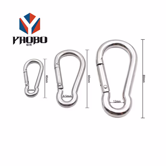 Stainless Steel Spring Clasp Carabiner Hook
